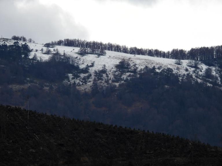 Martxoaren lehen egunetan elurra egin du  mendi gailurretan. Gailur hauetan  ere   elur gutxi ikusi dugu aurtengo neguan eta beheko herri edo aranetan batere ez.  Seguruenik   negu honetan  elurra zapaldu gabe igaro beharko dugu,  hemendik aurrera zaila baita elurra egitea  gure bailaran. 15/03/2024 