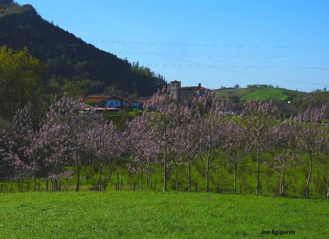 Paulowniak loratan Aizarnako paisaia apaintzen