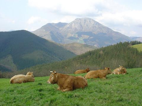 Aizarnatik begirada bat