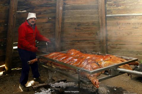 Txerri festa (2)