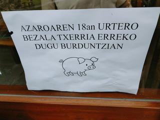 Azaroak 18 eta urteroko ohiturari jarraituz San Martin egunari dagokion txerri festa dago antolatuta Aranburu landetxean. Bertara hurbiltzen dena ez du damurik izango.