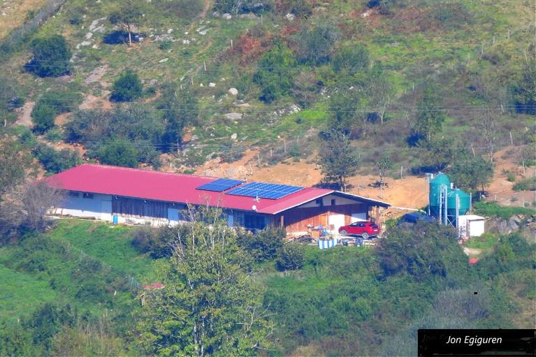 Ertxineko  arrautza ekologikoak ekoizten diren oilategia Aizarnan.