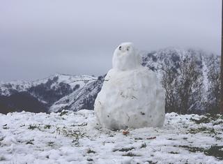 Errege  egunean egindako elurrarekin, panpina  polit bat   ikusi dut Sorabil baserri inguruan. Aspaldia ez du elur asko egin eta oraingoan mendiak dena zuritu ditu eta haurrak gozatu dute berarekin. 7/01/2026