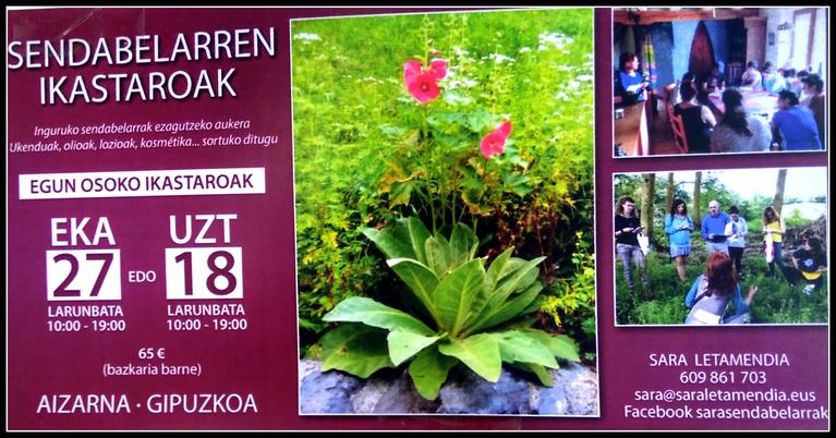 Sara Letamendiak, sendabelarrak lantzeko ikastaroak antolatu ditu Aizarnan. Bata ekainaren 28an egin zuen eta  uztailaren 8an egingo du bestea. Bertan parte hartu nahi duenak   argazkian ditu  helbide eta baldintzak.